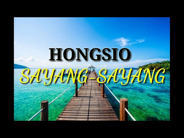 Hongsio -kissa2 class=