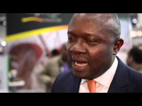 Valentine Ozigbo, managing director and chief executive, Transcorp Hotels