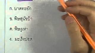 ชีววิทยา โอลิมปิก ม.ต้น ปี2552 : ข้อ40