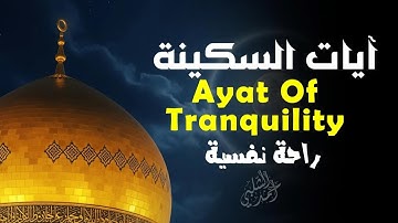 استمع إلى آيات السكينة لتجد راحة القلب وهدوء النفس|القارئ أحمد الشلبي