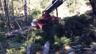 Caterpillar 501HD