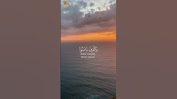 كُلُّ نَفْسٍ ذَائِقَةُ الْمَوْتِ ۗ | تلاوة خاشعة ومؤثرة | القارئ عبد الرحمن مسعد