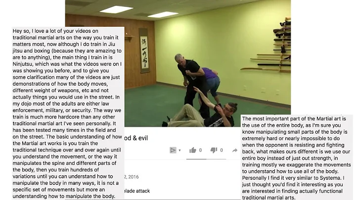A Viewer Defends Ninjutsu - His Comments And The C...