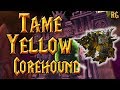How to Tame The Yellow Corehound - Exotic Pet for Hunters | World of Warcraft