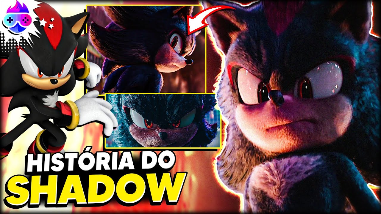 A HISTÓRIA DE SHADOW THE HEDGEHOG! 