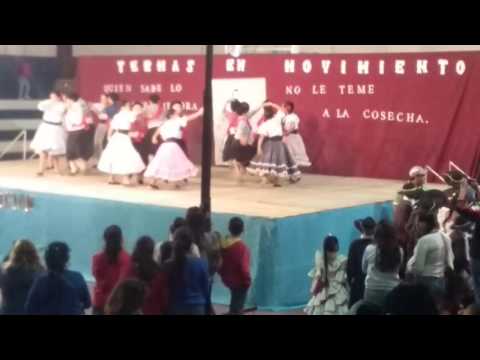 Academia de Danzas