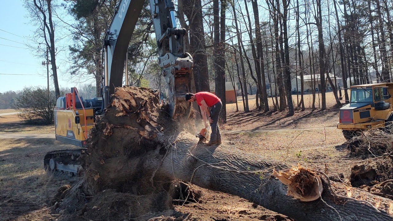 YouTube 관련 이미지