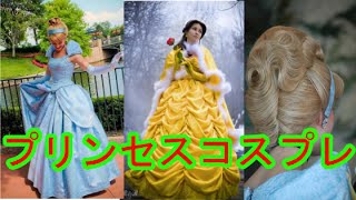 ディズニー プリンセス コスプレ 髪型もドレスもボロ服も真似したい 参考集 Youtube