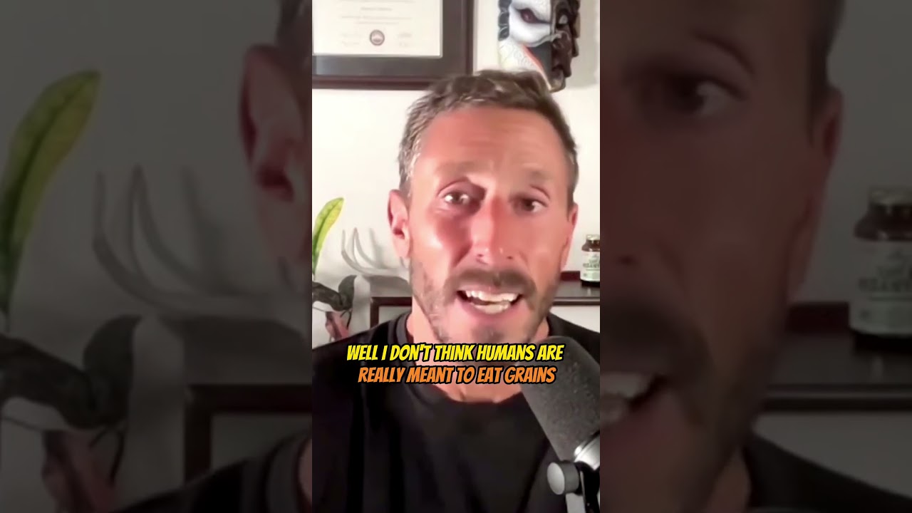 MD: How Grains Cause Disease and Inflammation I Paul Saladino 