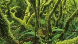 Depeche Mode - Precious(Revelator Extended Mix)