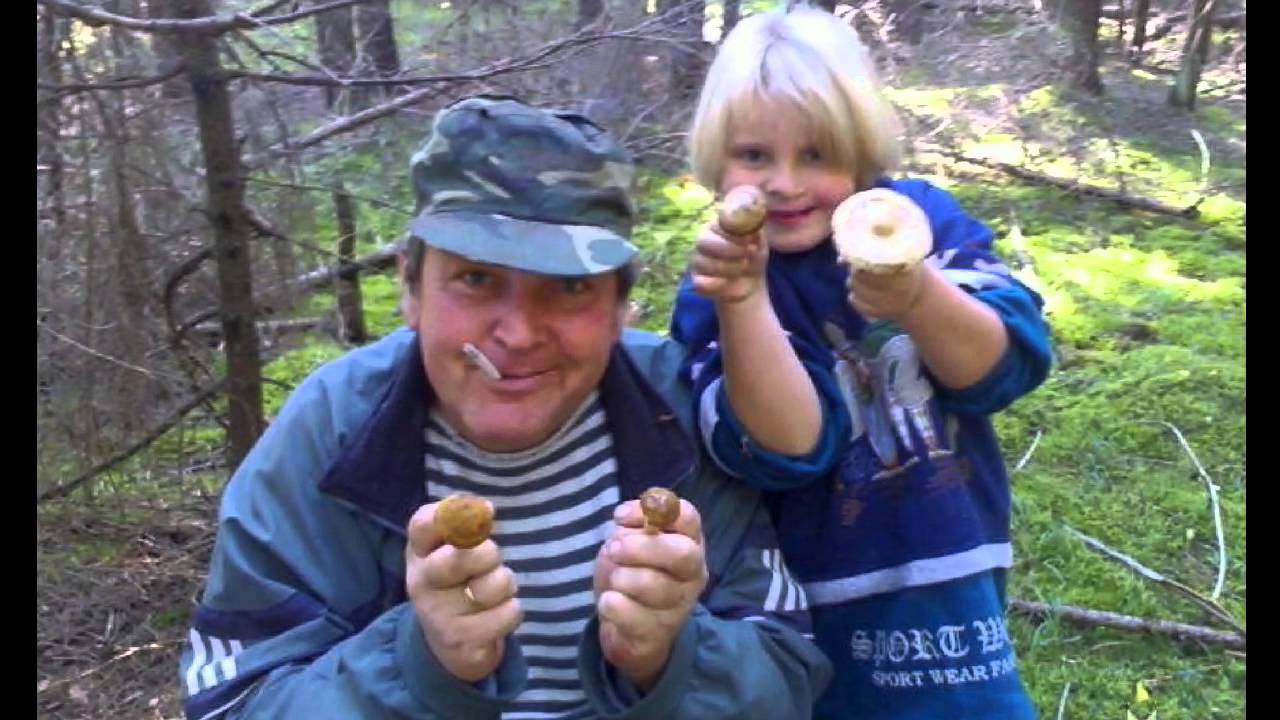 Бадаловы , прицкер