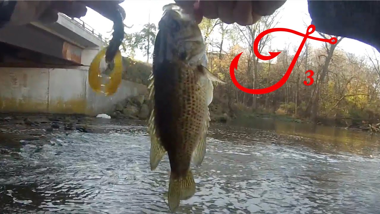 Fishing for Rock Bass Quest 3 of 50 YouTube