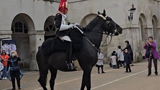 Agitated King's Horse Left the Box at Horse Guards in London by Royal Rover Tales 1,357 views 3 weeks ago 2 minutes, 46 seconds