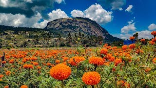 Vivo V11 Pro Travelogue - Nandi Hills screenshot 5