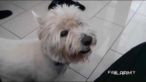 Best Fails of the Week 4 August 2013 || FailArmy HD