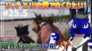 【 FF7 REBIRTH ※ネタバレ注意 】レッドⅩⅢ限界オタクが行く！迷子になるルードを見守る配信…脳筋オオカミのﾘﾊﾞｰｽ調査その25.5【 #ケモノVtuber 】