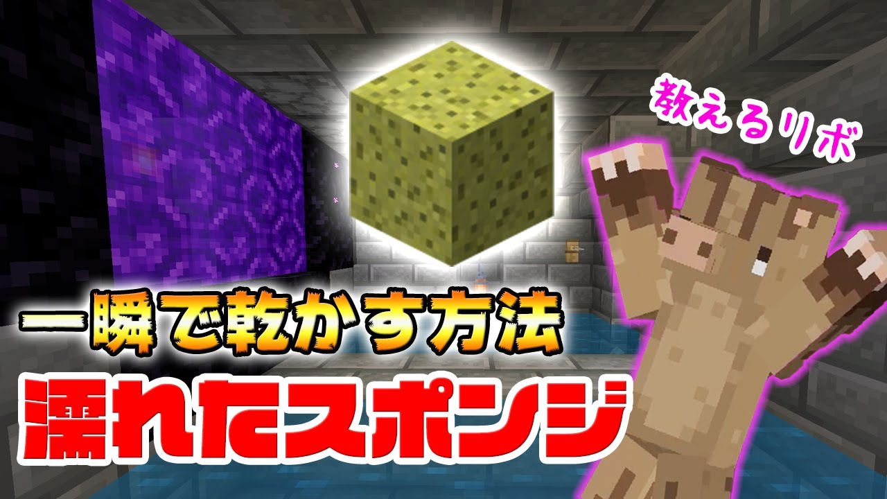 濡れたスポンジを一瞬で乾かす裏技教えます Shorts Youtube