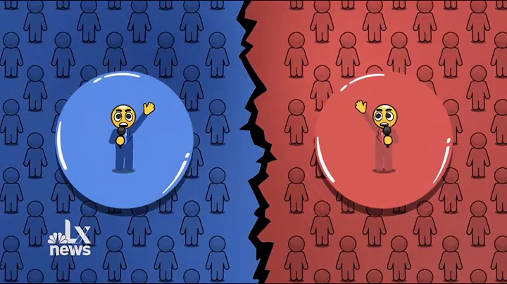 Why America Is Getting More Polarized | LX News