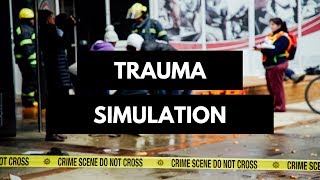 Celebrity Trauma simulation Wealth