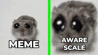 Sad Hamster MEME vs Aware Scale