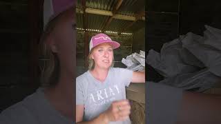 Unboxing horse tack from one of my favorite brands