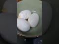 crispy egg sandwich recipe #eggsandwich ##viralvideo #youtubeshorts #recipe