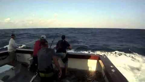 600lb Black Marlin Jumps in Boat and Lands on the Crew!  Captured on 4 different cameras! Very Scary