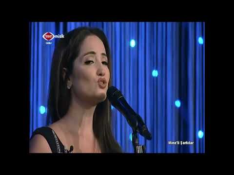 Ayışığı Grubu &
