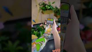 Wangsu Short Video.tanggu Short Video