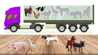 Farm Animal Match the Puzzle Shadow Fun game for children/Preschool learning video by KIDS Z FUN 11,061 views 2 years ago 1 minute, 31 seconds