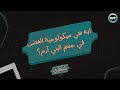 ايه هي سيكولوجية الغضب في جسم البني آدم ايه هي سيكولوجية الغضب في جسم البني آدم