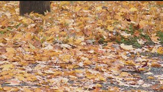 Don't 'fall' for these autumn dangers
