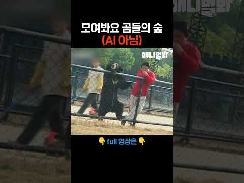 벽이 느껴지는 곰들의 재주 #애니멀봐 #shorts