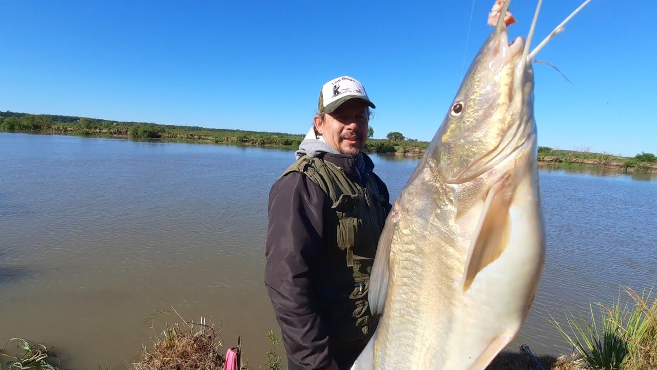 TERRIBLE PESCA EN UN NUEVO PESQUERO EN ALSINA, PESCA Y COCINA