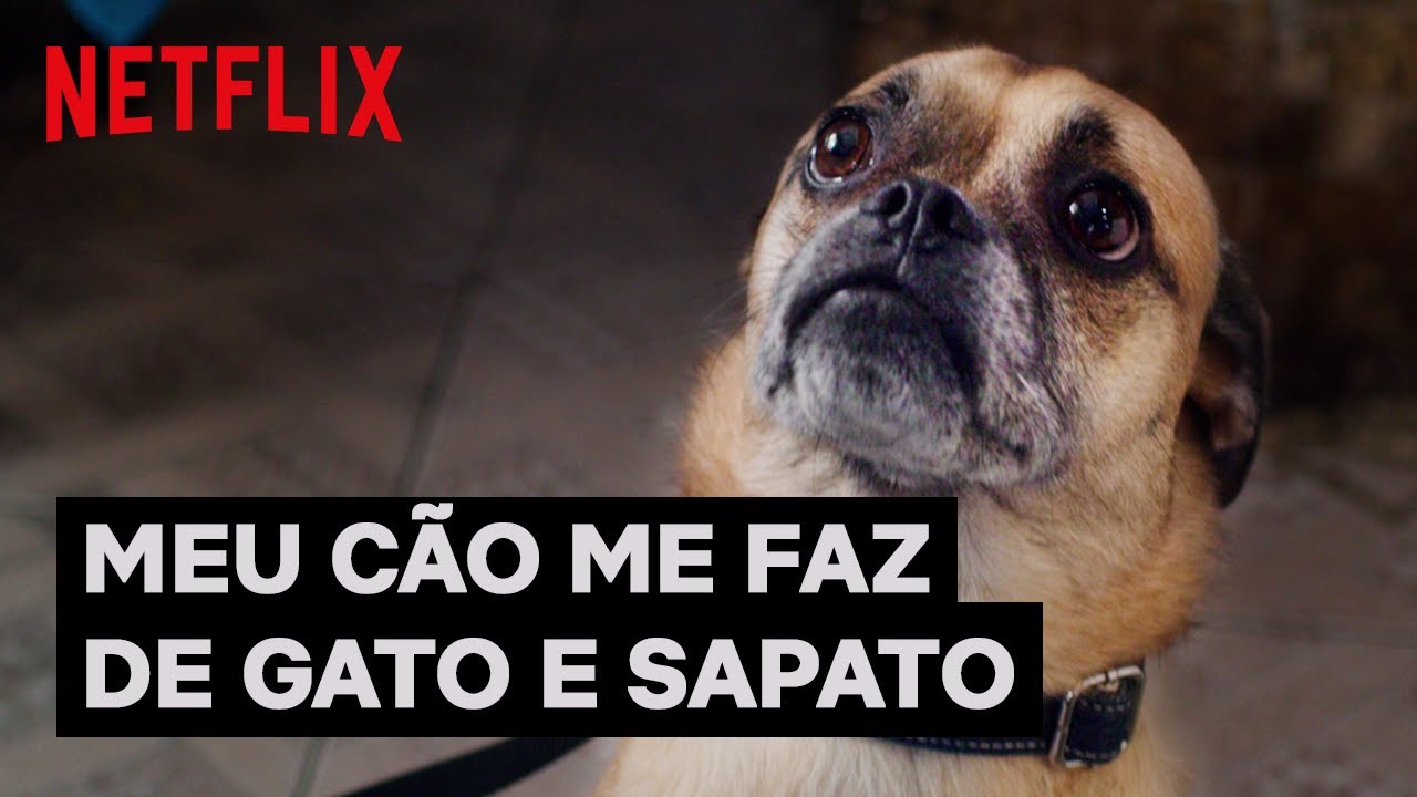 Os momentos mais engraçados do cachorro mais fofo