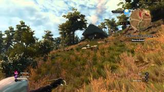 The Witcher 3: Infinite Money and Food Glitch Goats!