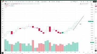 AAPL 5/17/26 Big Pic