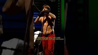 Download Lagu Red Hot Chili Peppers (RHCP) - Otherside (Live) #rhcp #otherside #redhotchilipeppers MP3