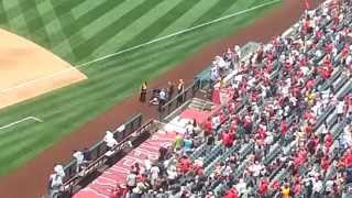 Streaker angels vs mariners 6/28/2015