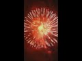 Fireworks (Lyrics video)