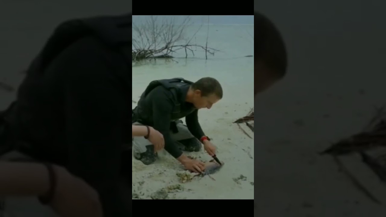 Ajay Devgan eat fish🐬🐬 Man vs Wild😍😍❤❤