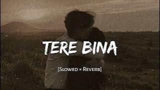 Tere Bina - (Slowed   Reverb) - A.R. Rahman || Guru