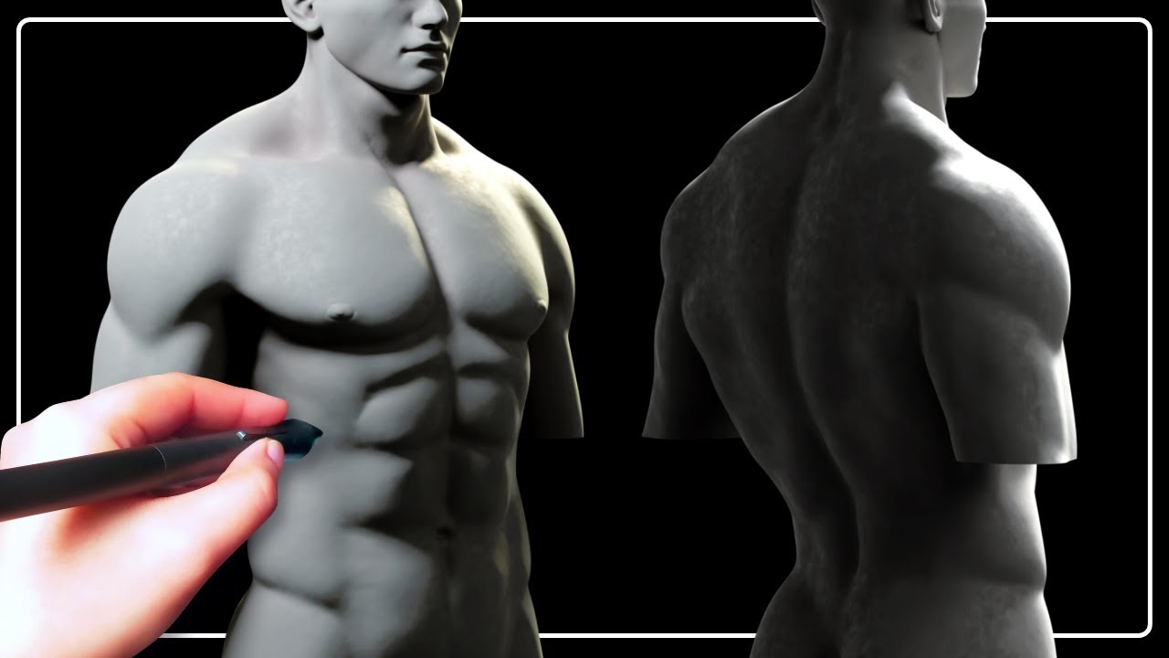 bodybuilding - How to sculpt masculine VS feminine chest? - Physical  Fitness Stack Exchange