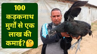 कड़कनाथ मुर्गी पालन की पूरी जानकारी|Kadaknath Poultry Farming in india|9896071871