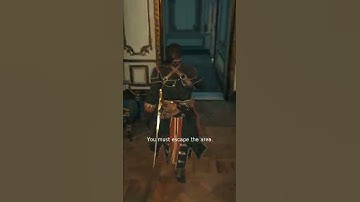 Assassin