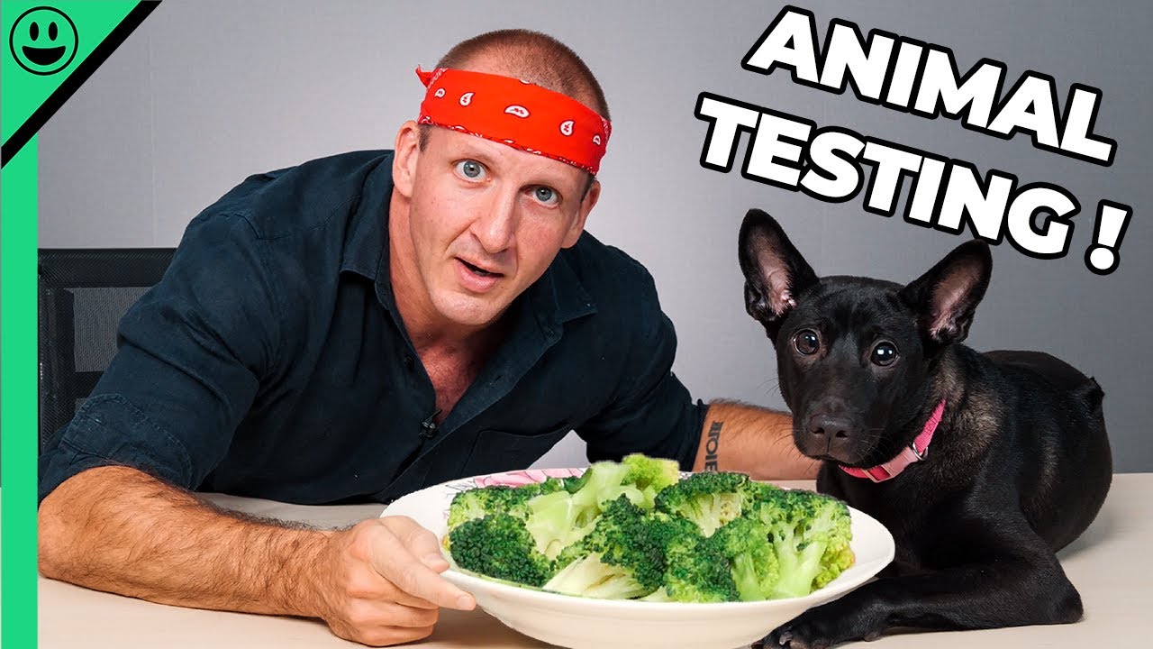 Food Challenge With My Dog My Wife Is Gonna Kill Me Win Big Sports food-challenge-with-my-dog-my-wife-is-gonna-kill-me-win-big-sports