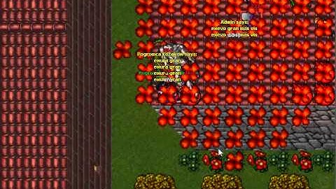 ADMIN ON illuminate.no-ip.org