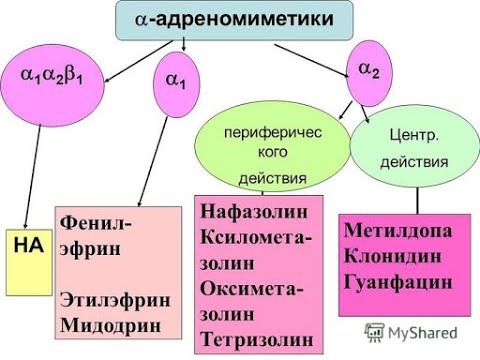 2 № 12.1. АЛЬФА-АДРЕНОМИМЕТИКИ