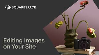 Editing Images On Your Site Squarespace 7.1