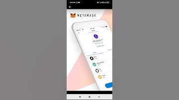 MetaMask Blockchain Wallet #shorts #youtubeshorts